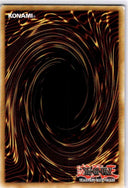 Yugioh Parallel eXceed OP14-EN007 Super Rare Unlimited Edition NM