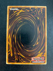 Yugioh Shadowpriestess of Ohm PTDN-EN024 Rare 1st Edition HP/MP