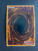 Yugioh Simorgh of Darkness RIRA-EN022 Super Rare 1st Edition LP