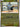 Pokemon Shinx 026/088 Perfect Order Reverse Holo NM