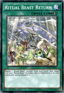 Yugioh Ritual Beast Return MP17-EN217 Common 1st Edition LP