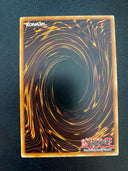 Yugioh Ribbon of Rebirth SDZW-EN030 Common 1st Edition VLP/NM