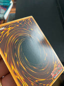 Yugioh Swallow Flip RGBT-EN079 Super Rare Unlimited Edition MP/LP