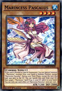 Yugioh Marincess Pascalus LED9-EN039 Common 1st Edition NM
