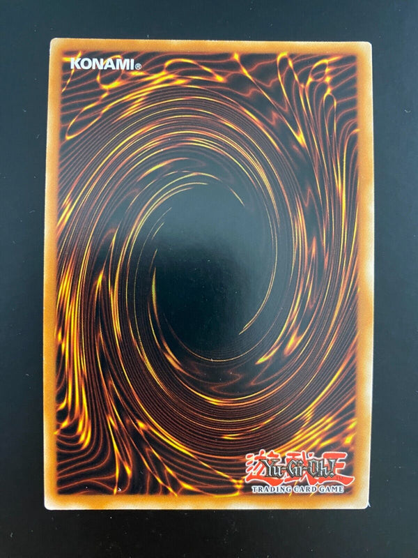 Yugioh The Golden Apples SS01-ENV02 1st Edition NM