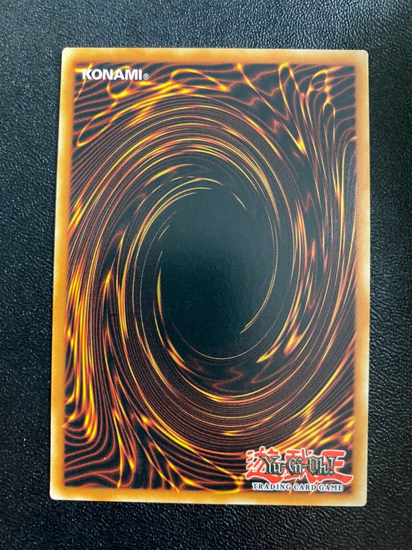 Yugioh Warlock of the Ice Barrier SDFC-EN010 Common 1st Edition NM