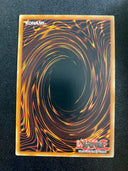 Yugioh Warlock of the Ice Barrier SDFC-EN010 Common 1st Edition NM