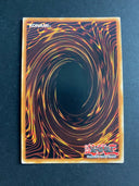 Yugioh Advanced Crystal Beast Cobalt Eagle BLCR-EN015 Secret Rare 1st Edition NM