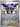 Pokemon Drayton 174/191 Surging Sparks Reverse Holo NM