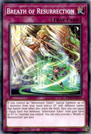 Yugioh Breath of Resurrection MP23-EN273 Common 1st Edition NM