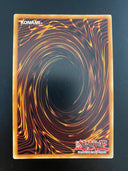 Yugioh Phoenix Wing Wind Blast PGLD-EN070 Unlimited Edition NM