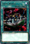 Yugioh Toon World TOCH-EN054 Rare 1st Edition NM