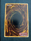 Yugioh Cards of Consonance DP10-EN019 Common 1st Edition MP