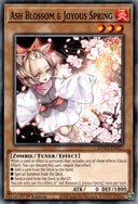 Yugioh Ash Blossom & Joyous Spring SDWD-EN017 Common 1st Edition NM