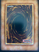 Yugioh Familiar-Possessed - Aussa SDCH-EN037 Ultra Rare (Alternate Art) NM/MINT