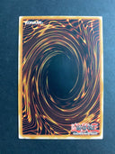 Yugioh Sinful Spoils of Slumber - Morrian LEDE-EN075 Common 1st Edition VLP/NM