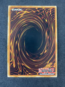 Yugioh Traptrix Mantis MAGO-EN076 Gold Rare 1st Edition NM