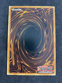 Yugioh Dododo Warrior SP14-EN018 Starfoil Rare 1st Edition LP - Stain