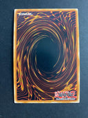 Yugioh Myutant Evolution Lab PHRA-EN092 Ultra Rare 1st Edition LP