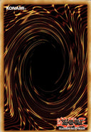 Yugioh Pendulum Hole TDIL-EN079 Common 1st/unl Edition NM