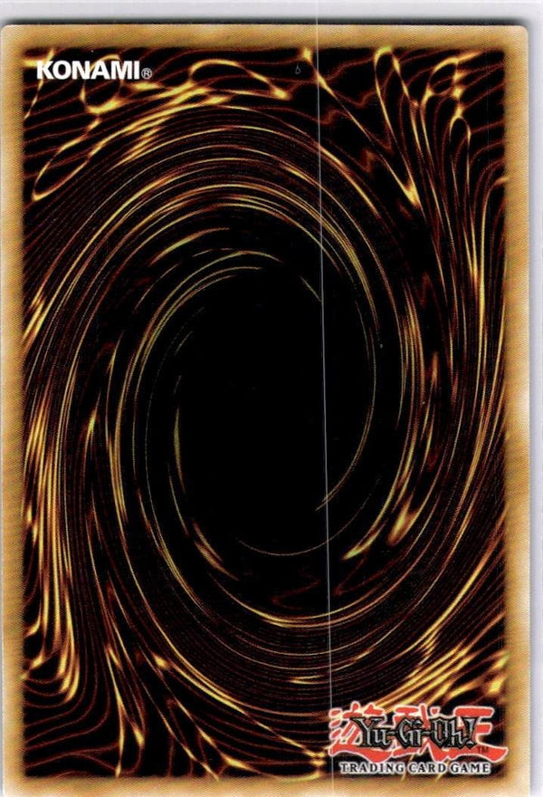 Yugioh Void Unleashing BLGG-EN025 Secret Rare 1st Edition NM