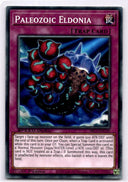 Yugioh Paleozoic Eldonia SBC1-ENC20 Common 1st Edition NM