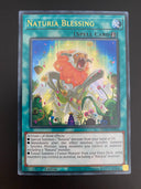 Yugioh Naturia Blessing MP23-EN204 1st Edition Ultra MINT