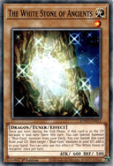 Yugioh The White Stone of Ancients SDWD-EN012 Common 1st Edition NM