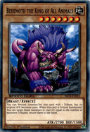 Yugioh Behemoth the King of All Animals SBCB-EN052 Spd Duel Common 1st Ed VLP/NM