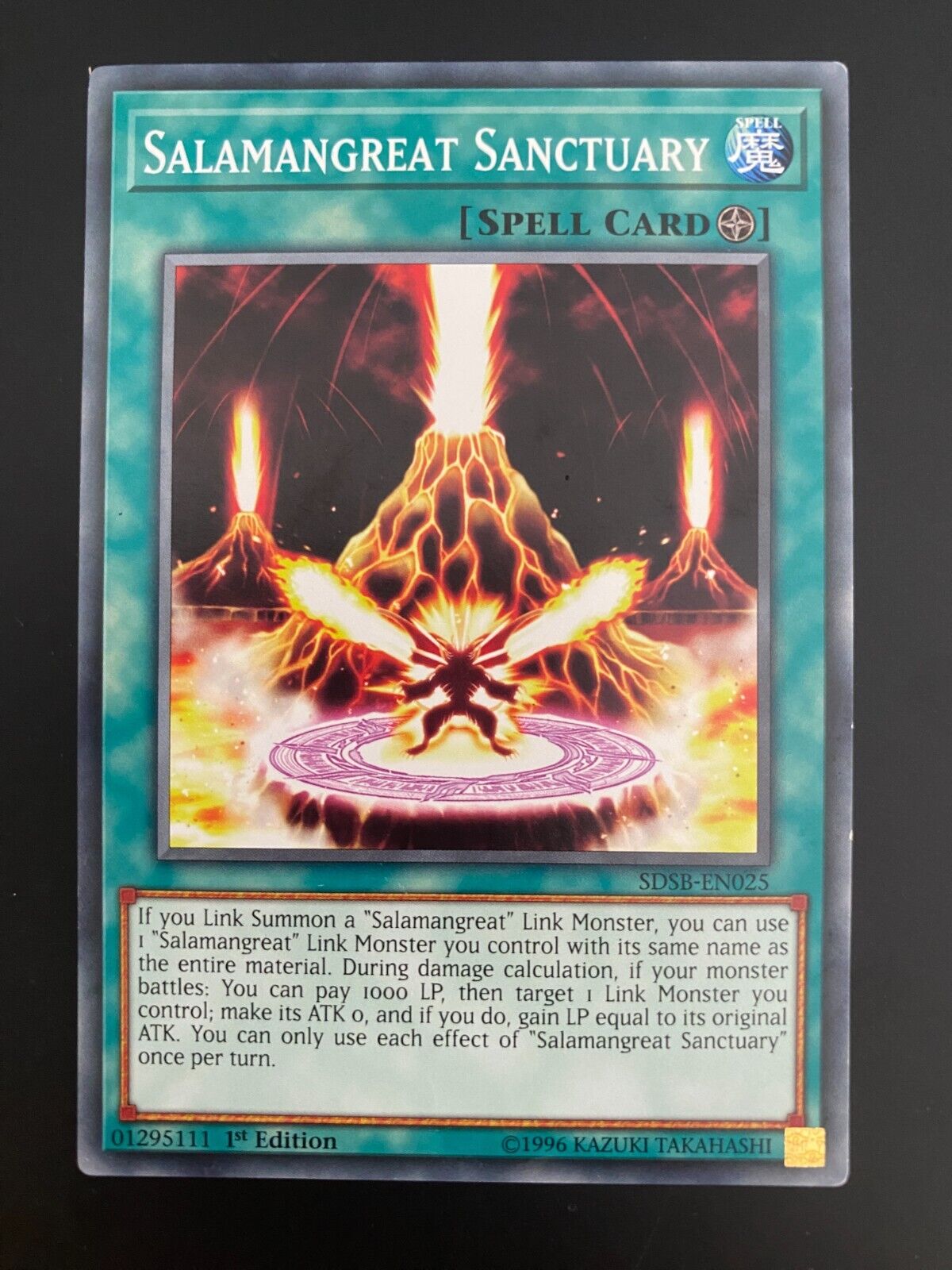 Yugioh Salamangreat Sanctuary SDSB-EN025 1st Edition Common LP