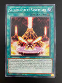 Yugioh Salamangreat Sanctuary SDSB-EN025 1st Edition Common LP