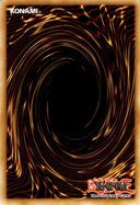 Yugioh Paleozoic Pikaia TDIL-EN098 Common 1st Edition NM