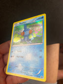 Pokemon Mudkip XY38 Black Star Promos Holo MP-LP