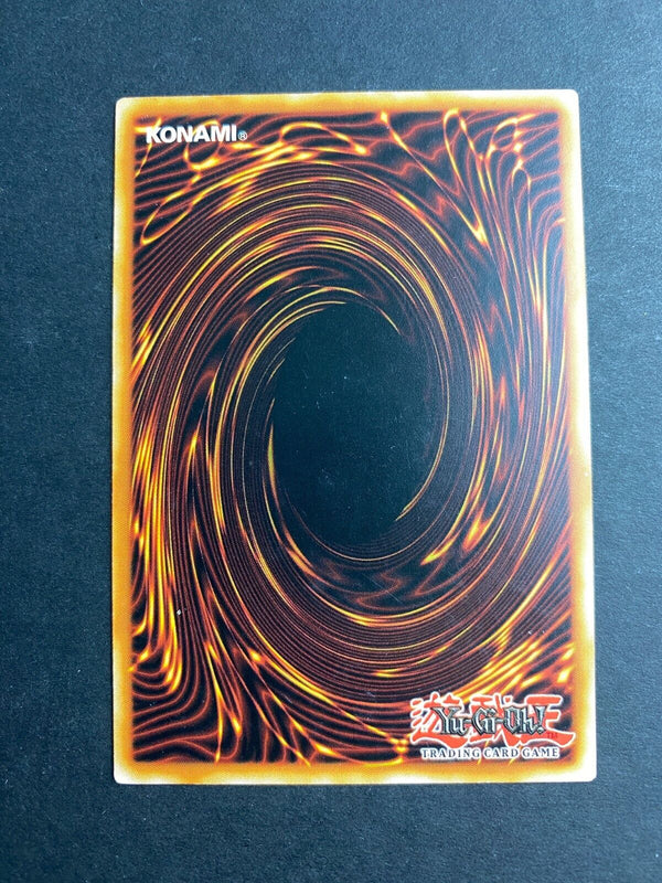 Yugioh Doki Doki INOV-EN032 Common 1st Edition LP