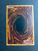 Yugioh Doki Doki INOV-EN032 Common 1st Edition LP