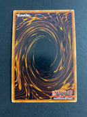 Yugioh Pikeru's Circle of Enchantment RDS-EN057 Super Rare 1st Edition HP