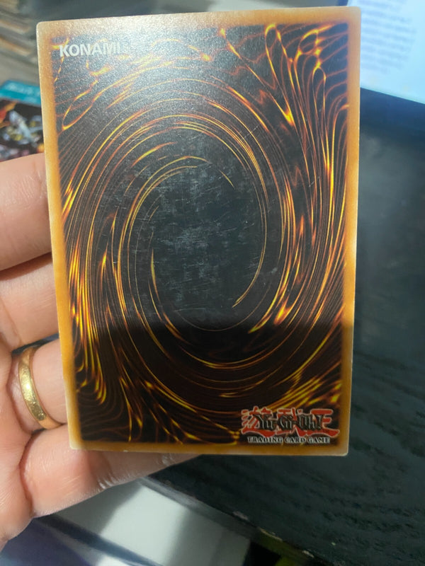 Yugioh Cards for Black Feathers DP11-EN020 Common 1st Edition HP/MP