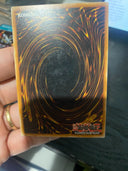 Yugioh Cards for Black Feathers DP11-EN020 Common 1st Edition HP/MP