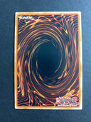 Yugioh Ready Fusion MP22-EN163 Secret Rare 1st Edition NM