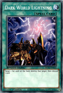 Yugioh Dark World Lightning SGX3-ENA16 Speed Duel Common 1st Edition NM