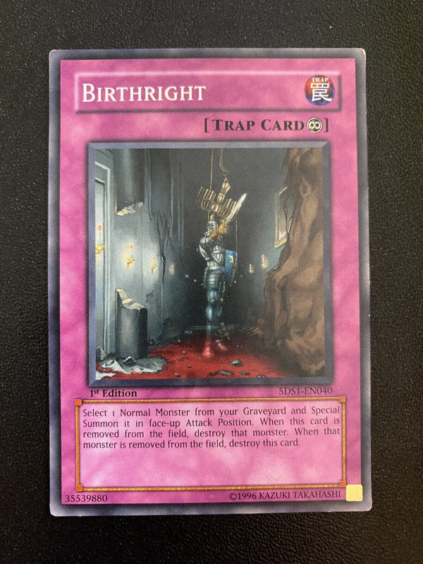 Yugioh Birthright 5DS1-EN040 Common 1st Edition MP