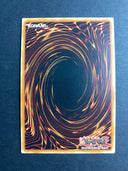 Yugioh Illusion of Chaos RA02-EN020 Platinum Secret Rare 1st Edition NM