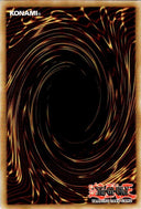 Yugioh Amazoness Spiritualist DABL-EN096 Common 1st Edition NM