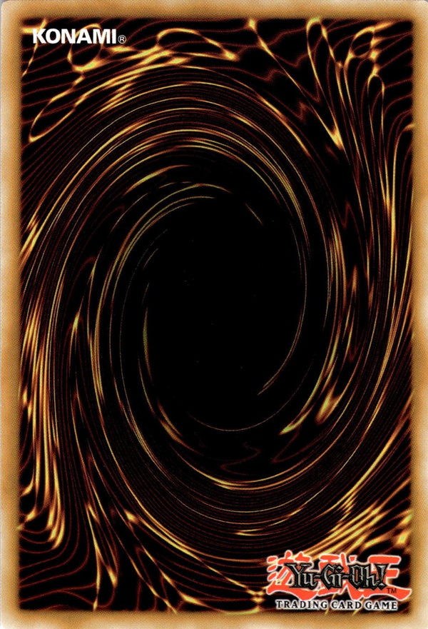 Yugioh Amazoness Fighting Spirit SGX3-END14 Speed Duel Common 1st Edition NM