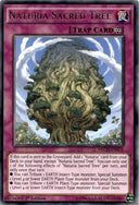 Yugioh Naturia Sacred Tree NECH-EN076 Rare 1st Edition LP/NM