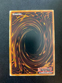 Yugioh Babycerasaurus SR04-EN013 Common Unlimited Edition NM