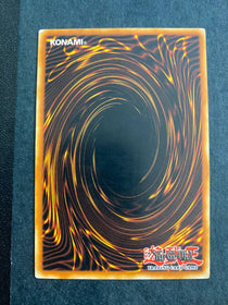 Yugioh TGX1-HL EXVC-EN053 Common 1st Edition HP