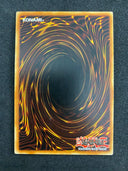 Yugioh Prevention Star DP09-EN017 1st Edition Common NM