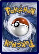 Pokemon (2 Cards) Lure Module 067/078 Pokemon Go Non Holo NM