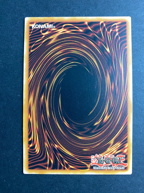 Yugioh Electromagnetic Turtle EGS1-EN013 Common 1st Edition LP